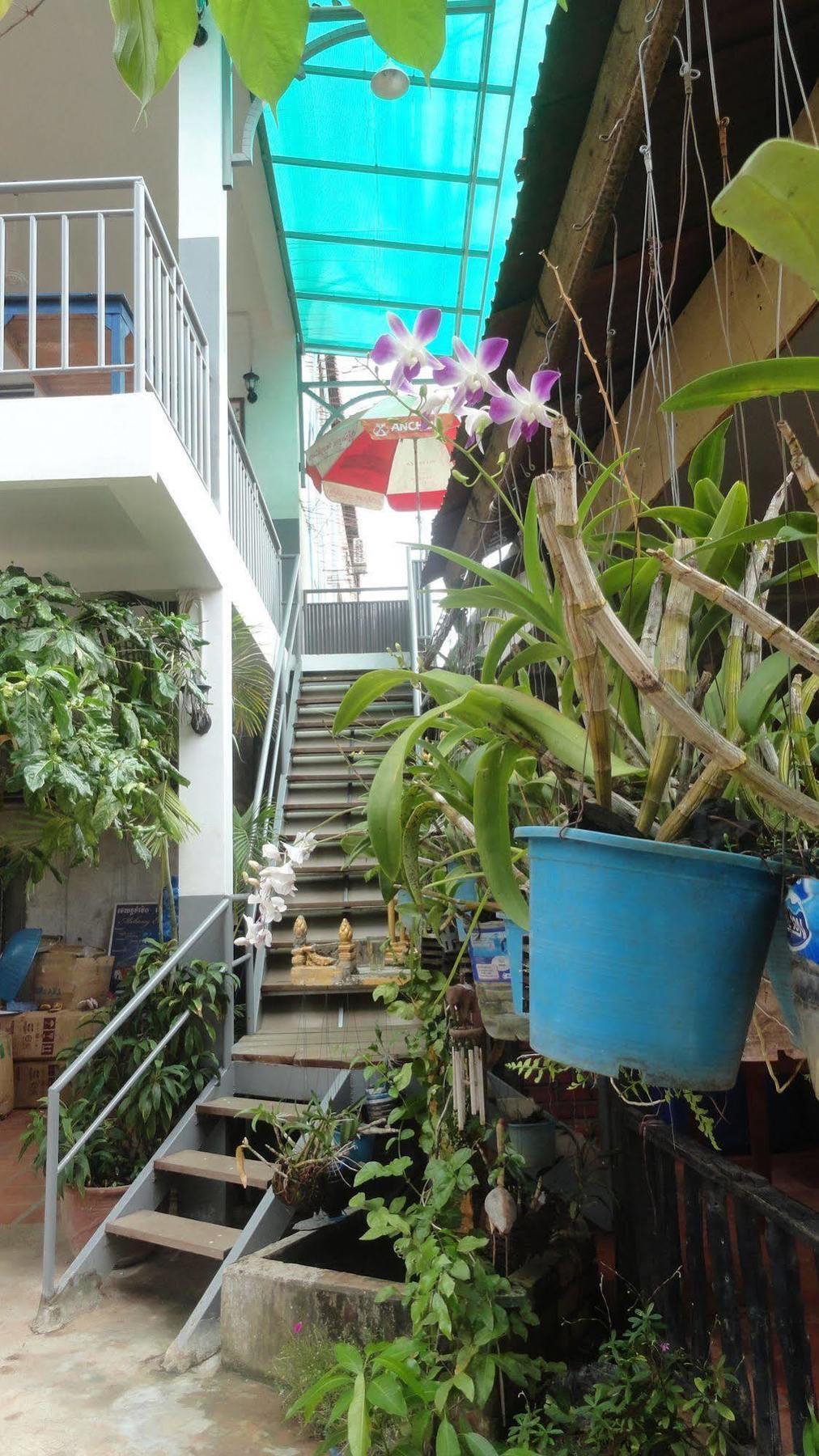 Green Park Village Guesthouse Σιέμ Ρέαπ Εξωτερικό φωτογραφία